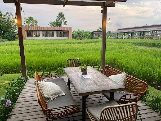 A table set in the rice fields