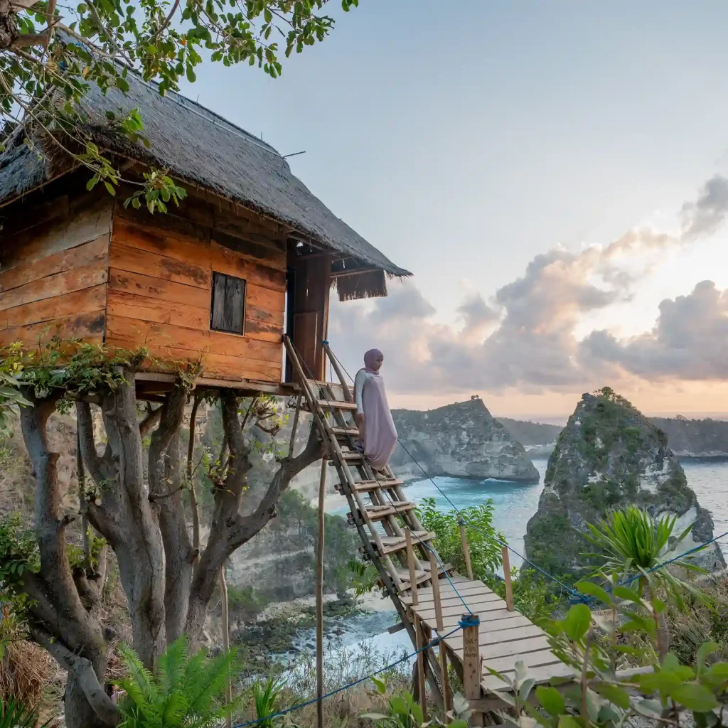 A wooden tree house above the coast